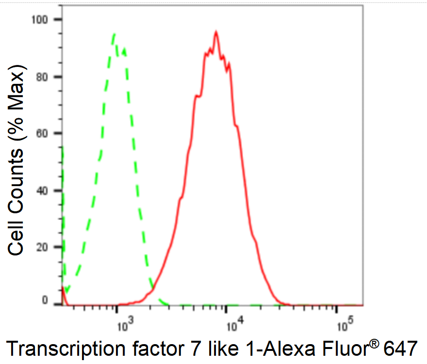 [KD Validated] Anti-TCF7L1 Rabbit mAb [55R72B94]