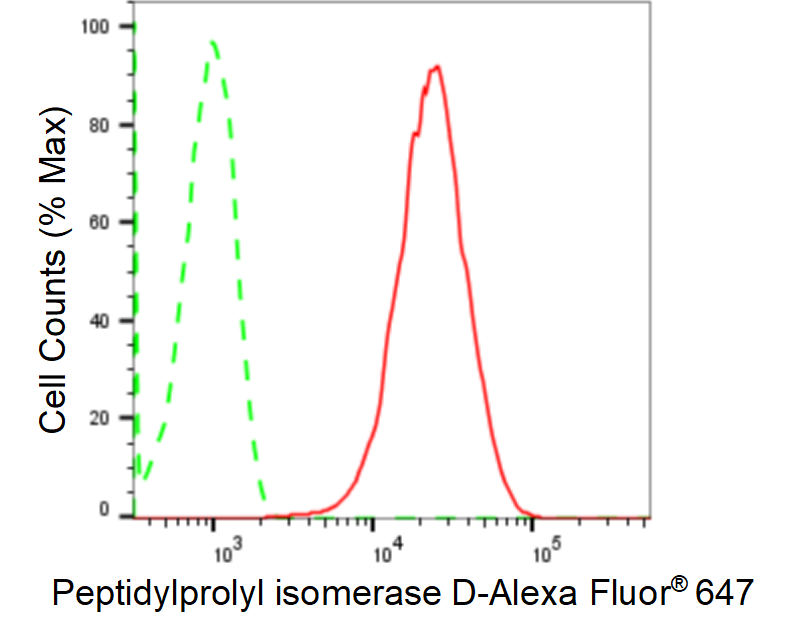 [KD Validated] Anti-PPID Rabbit mAb [66J52J31]