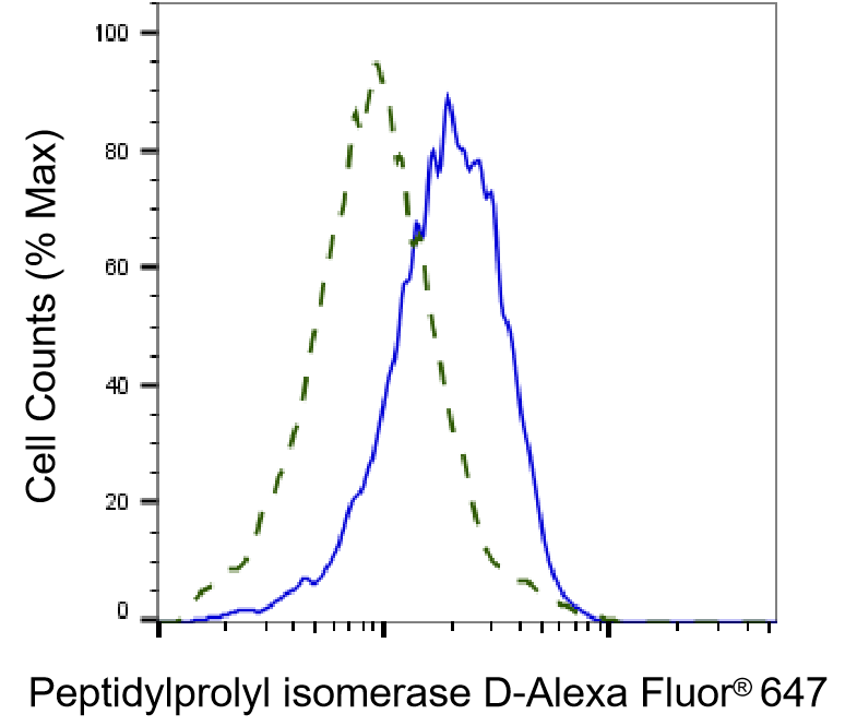 [KD Validated] Anti-PPID Rabbit mAb [66J52J31]