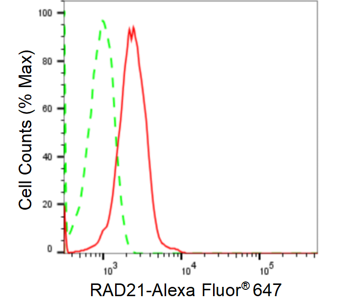 [KD Validated] Anti-RAD21 Rabbit mAb [65A44S90]