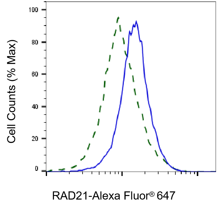 [KD Validated] Anti-RAD21 Rabbit mAb [65A44S90]