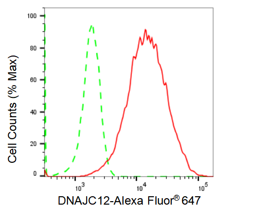 [KD Validated] Anti-DNAJC12 Rabbit mAb [49Q23N66]