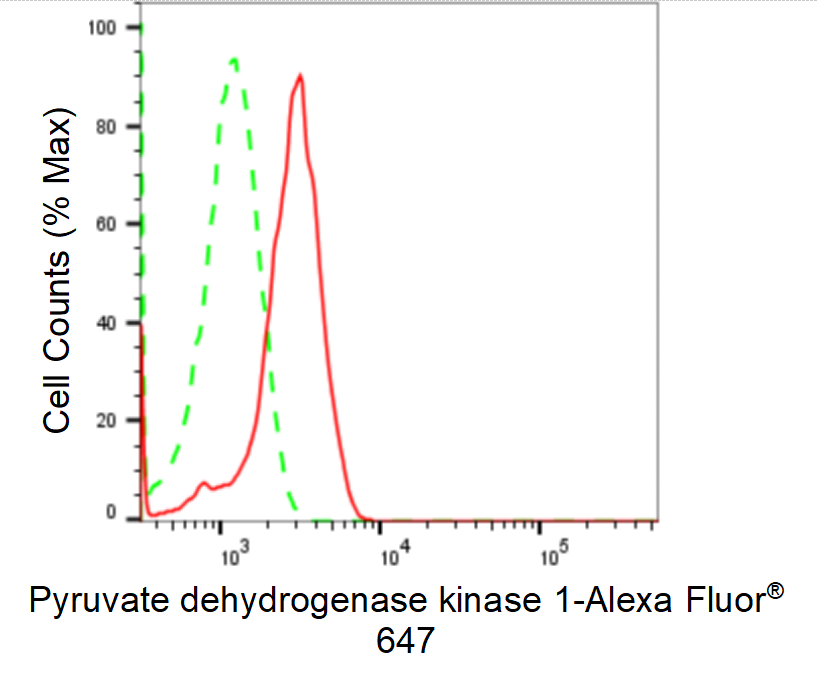 [KD Validated] Anti-PDK1 Rabbit mAb [47L88F57]