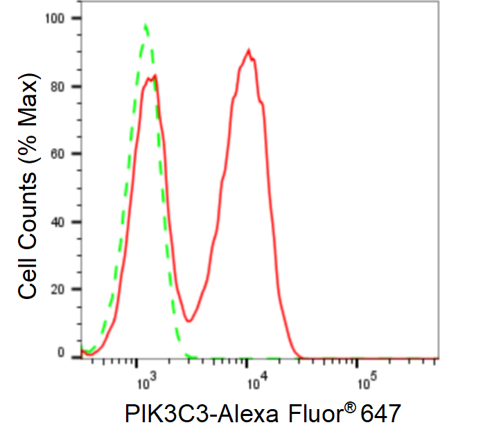 [KD Validated] Anti-PIK3C3 Rabbit mAb [61R86G49]