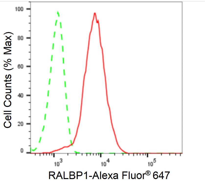[KD Validated] Anti-RALBP1 Rabbit mAb [56N94H21]
