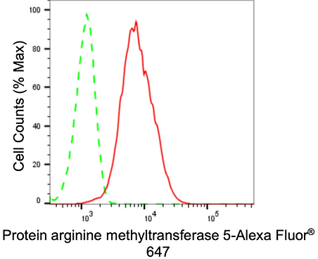[KD Validated] Anti-PRMT5 Rabbit mAb [96A59L29]
