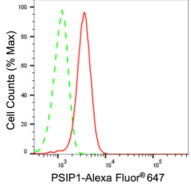 [KD Validated] Anti-PSIP1 Rabbit mAb [84B60L54]