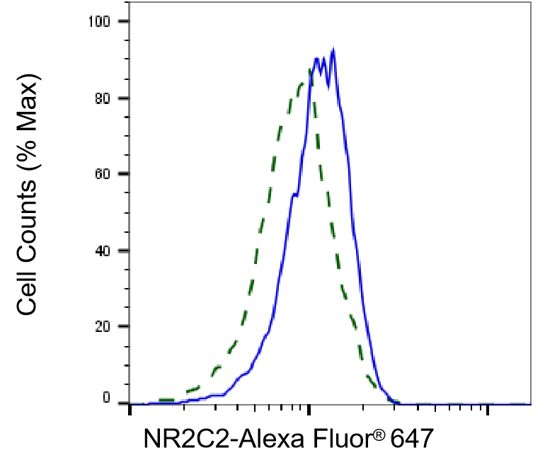 [KD Validated] Anti-NR2C2 Rabbit mAb [55B65Q86]