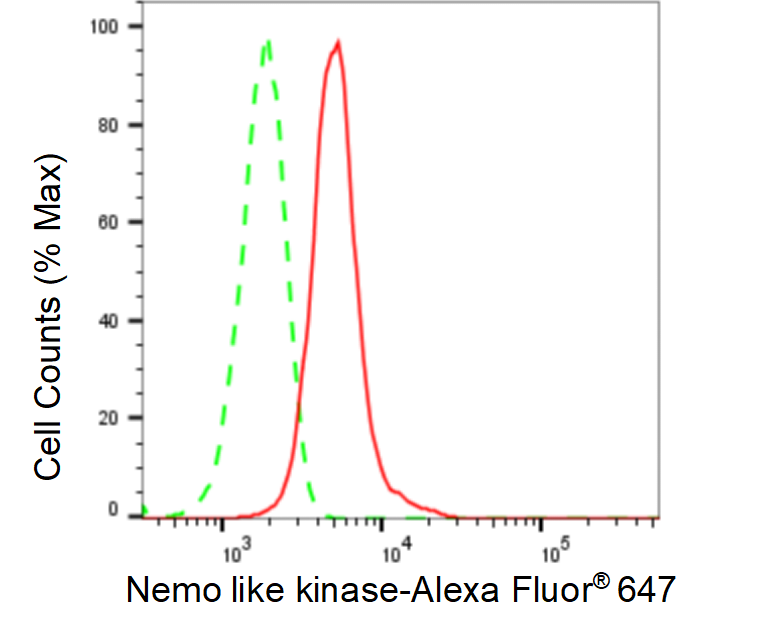 [KD Validated] Anti-NLK Rabbit mAb [58G02Q76]
