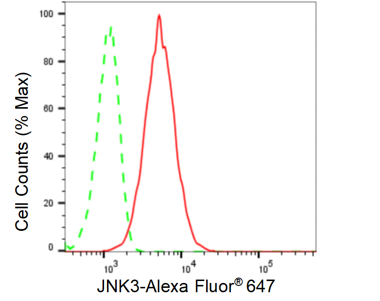 [KD Validated] Anti-MAPK10 Rabbit mAb [60P37R49]