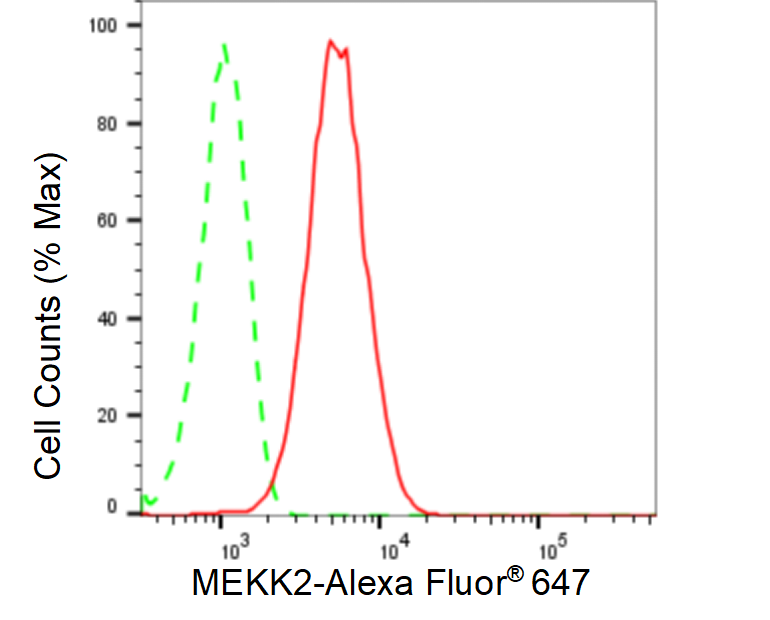 [KD Validated] Anti-MAP3K2 Rabbit mAb [10C40E93]