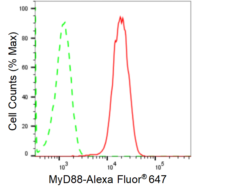 [KD Validated] Anti-MYD88 Rabbit mAb [94T79D17]