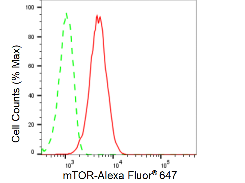 [KD Validated] Anti-MTOR Rabbit mAb [90Q34D27]