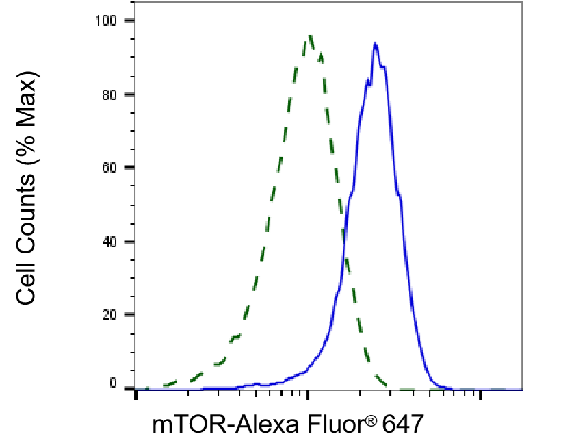 [KD Validated] Anti-MTOR Rabbit mAb [90Q34D27]