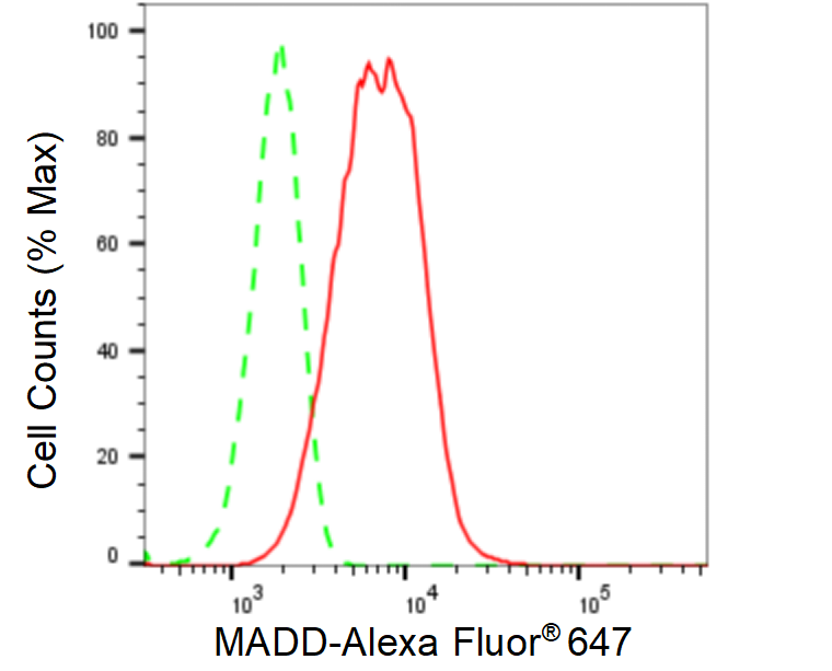 [KD Validated] Anti-MADD Rabbit mAb [68Q61R91]