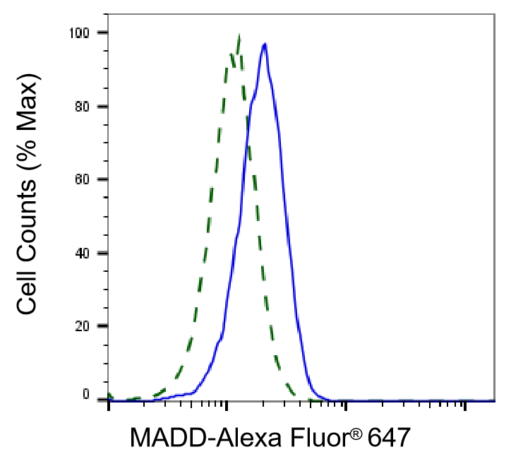 [KD Validated] Anti-MADD Rabbit mAb [68Q61R91]