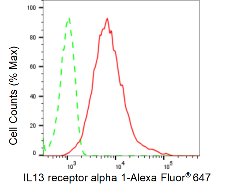 [KD Validated] Anti-IL13RA1 Rabbit mAb [55H40C93]