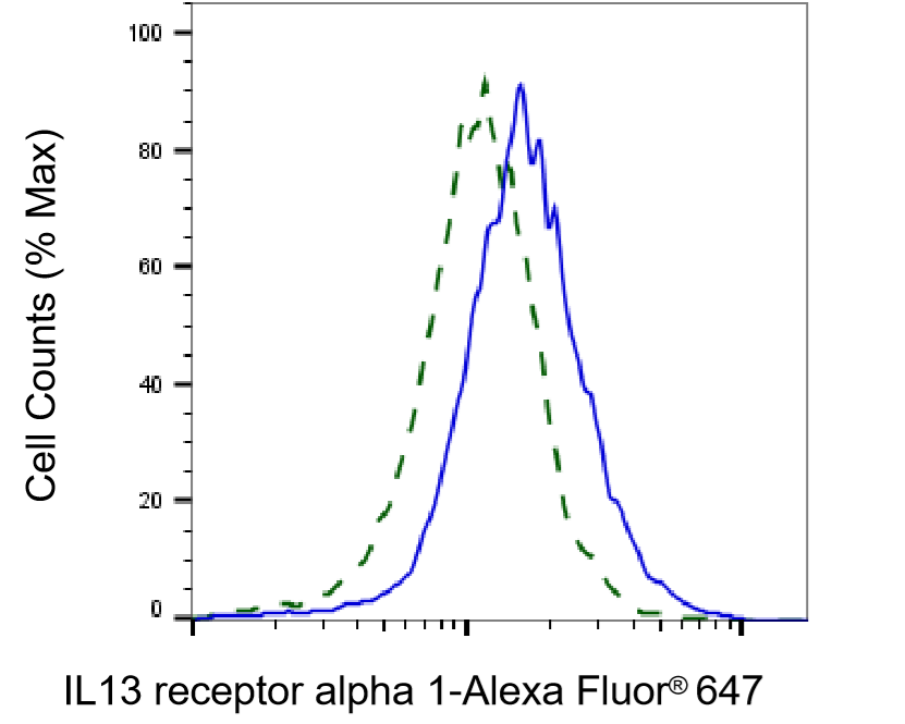 [KD Validated] Anti-IL13RA1 Rabbit mAb [55H40C93]