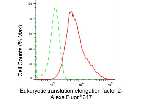 [KD Validated] Anti-EEF2 Rabbit mAb [11T98H86]