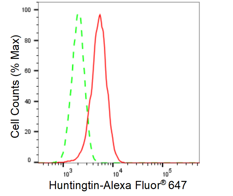 [KD Validated] Anti-HTT Rabbit mAb [24D84P30]
