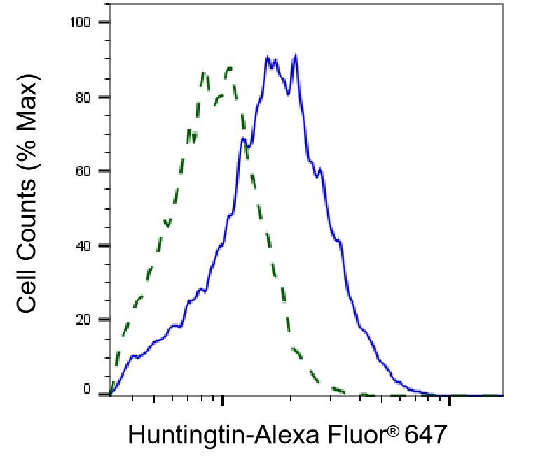 [KD Validated] Anti-HTT Rabbit mAb [24D84P30]