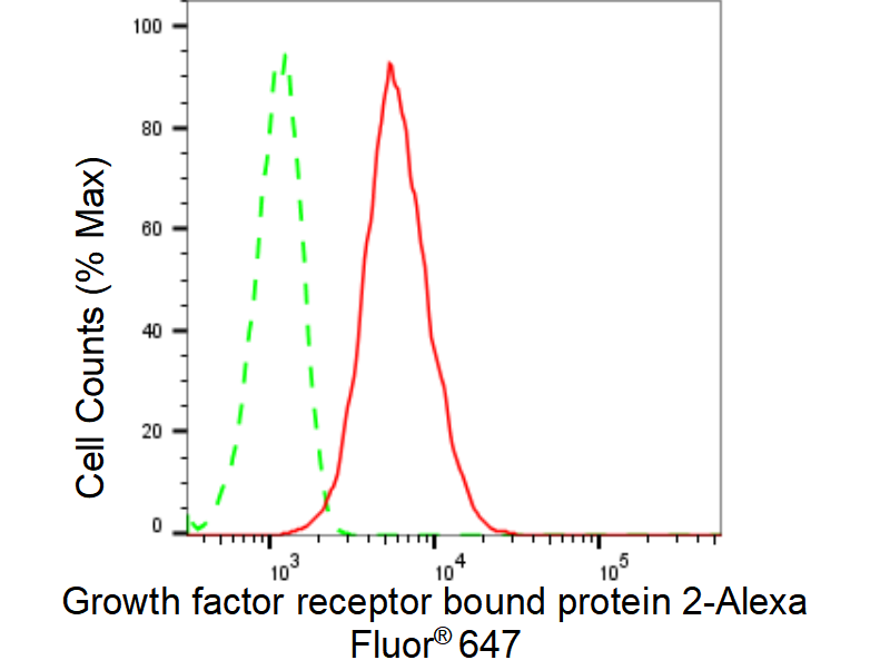 [KD Validated] Anti-GRB2 Rabbit mAb [53C94R30]