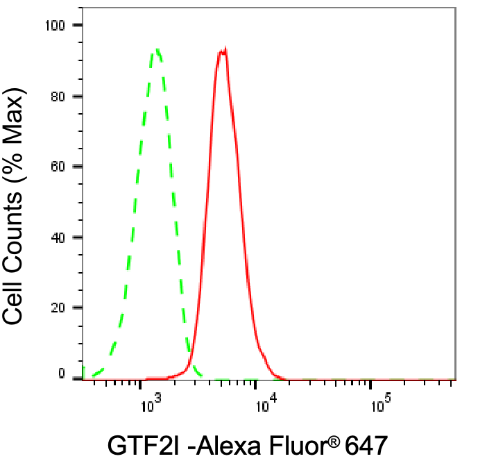 [KD Validated] Anti-GTF2I Rabbit mAb [69E66F85]