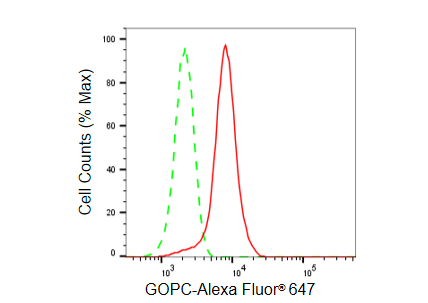 [KD Validated] Anti-GOPC Rabbit mAb [42Q12B41]