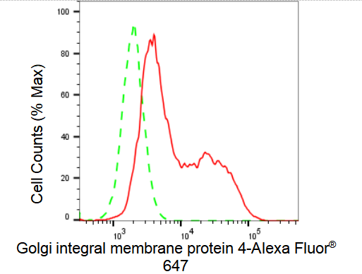 [KD Validated] Anti-GOLIM4 Rabbit mAb [54H01S22]