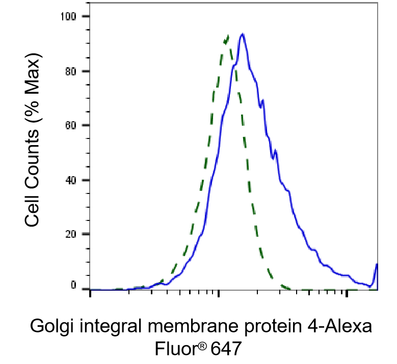 [KD Validated] Anti-GOLIM4 Rabbit mAb [54H01S22]