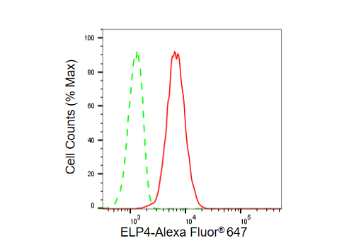 [KD Validated] Anti-ELP4 Rabbit mAb [56S03S37]