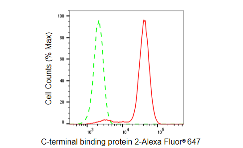 [KD Validated] Anti-CTBP2 Rabbit mAb [64H74R66]