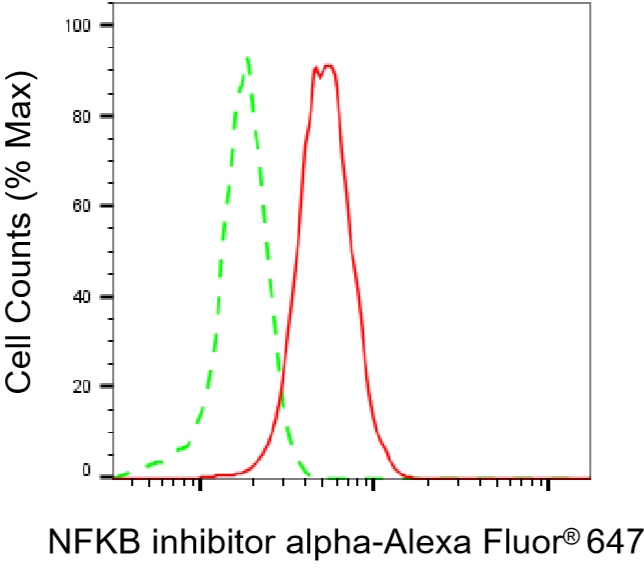 [KD Validated] Anti-NFKBIA Rabbit mAb [91G70D43]