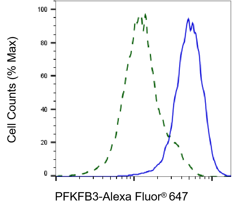 [KD Validated] Anti-PFKFB3 Rabbit mAb [32O71F11]