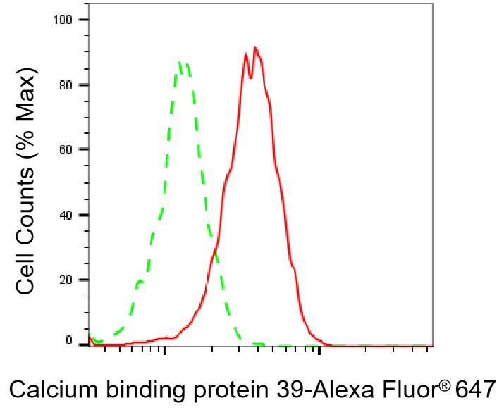 [KD Validated] Anti-CAB39 Rabbit mAb [95L48G21]
