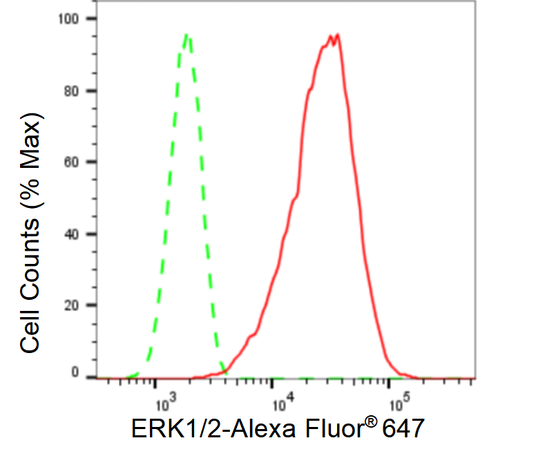 [KD Validated] Anti-MAPK1/3 Rabbit mAb [43S59O21]