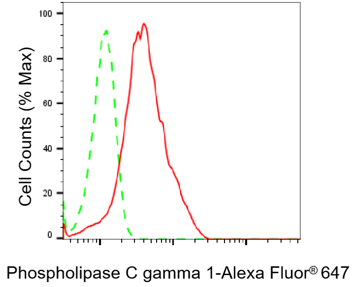 [KD Validated] Anti-PLCG1 Rabbit mAb [72E48F92]