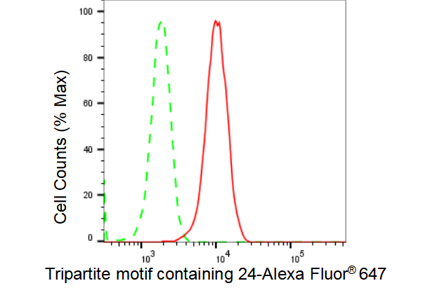 [KD Validated] Anti-TRIM24 Rabbit mAb [41S83E06]
