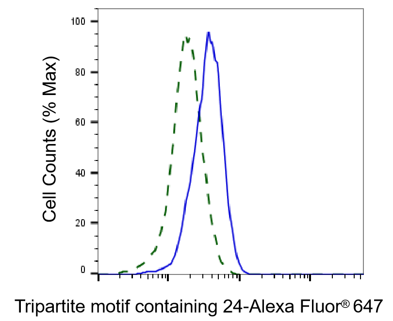 [KD Validated] Anti-TRIM24 Rabbit mAb [41S83E06]