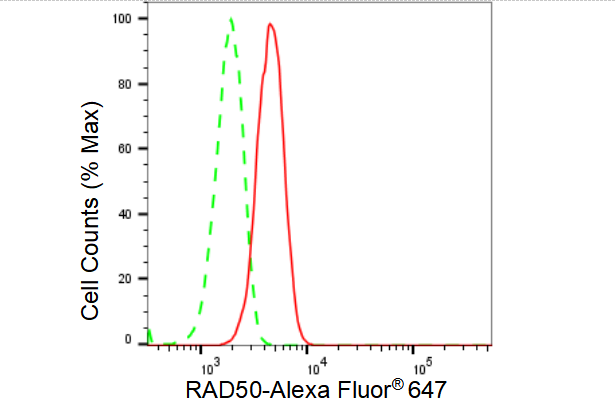 [KD Validated] Anti-RAD50 Rabbit mAb [76T27G62]