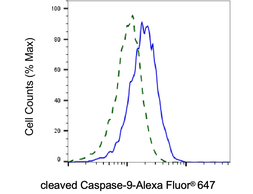 [KD Validated] Anti-CASP9 Rabbit mAb [87M79T98]
