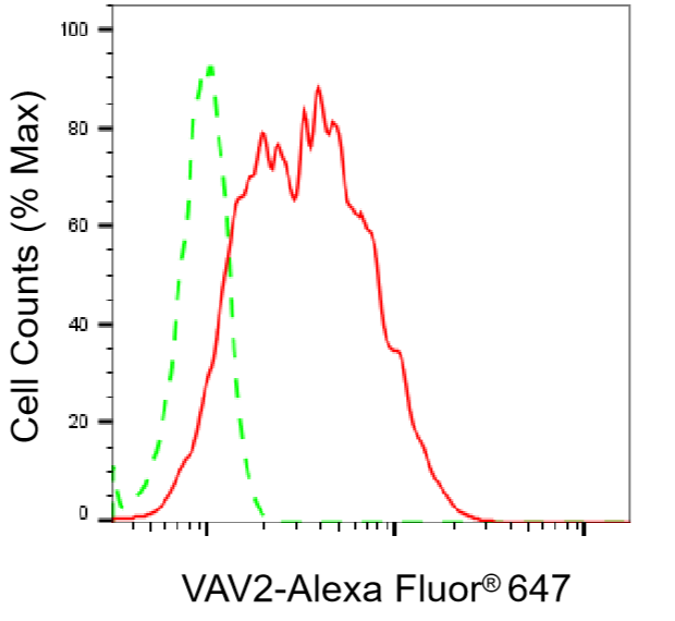 [KD Validated] Anti-VAV2 Rabbit mAb [14G78S30]