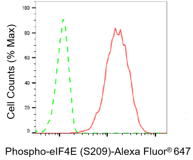 [KD Validated] Anti-EIF4E Rabbit mAb [66R90B82]