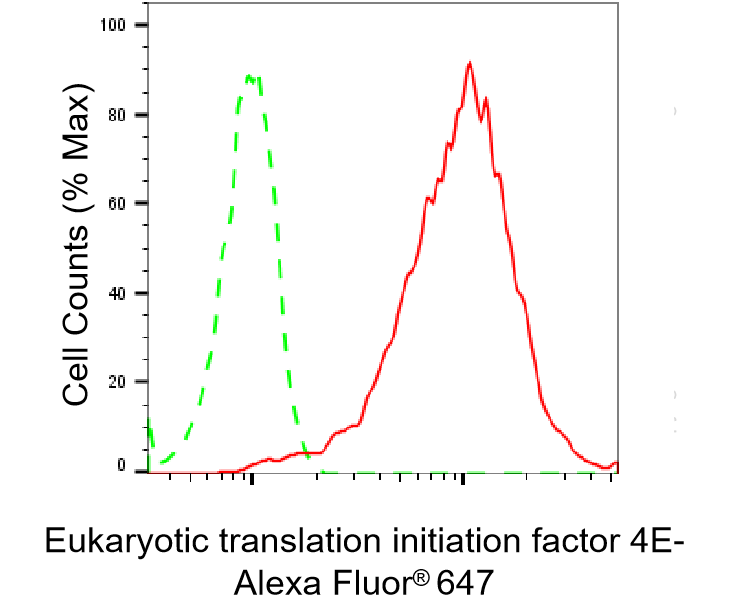 [KD Validated] Anti-EIF4E Rabbit mAb [37S02A12]