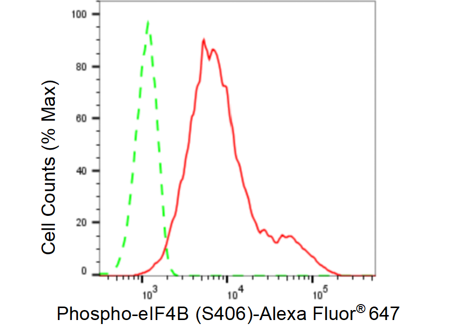 [KD Validated] Anti-eIF4B Rabbit mAb [22S68K63]