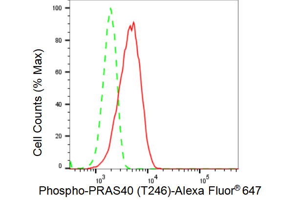 [KD Validated] Anti-AKT1S1 Rabbit mAb [29L58S87]