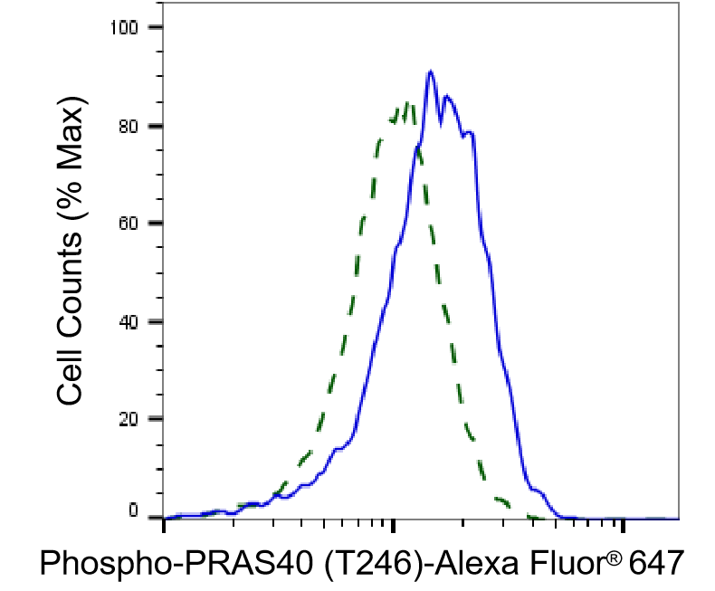 [KD Validated] Anti-AKT1S1 Rabbit mAb [29L58S87]