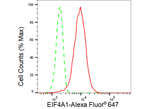 [KD Validated] Anti-EIF4A1 Rabbit mAb [79S72Q22]