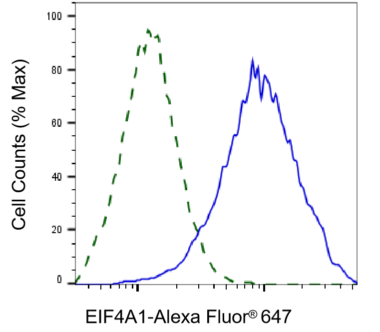 [KD Validated] Anti-EIF4A1 Rabbit mAb [79S72Q22]