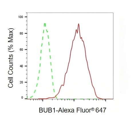 [KD Validated] Anti-BUB1 Rabbit mAb [96B91K21]